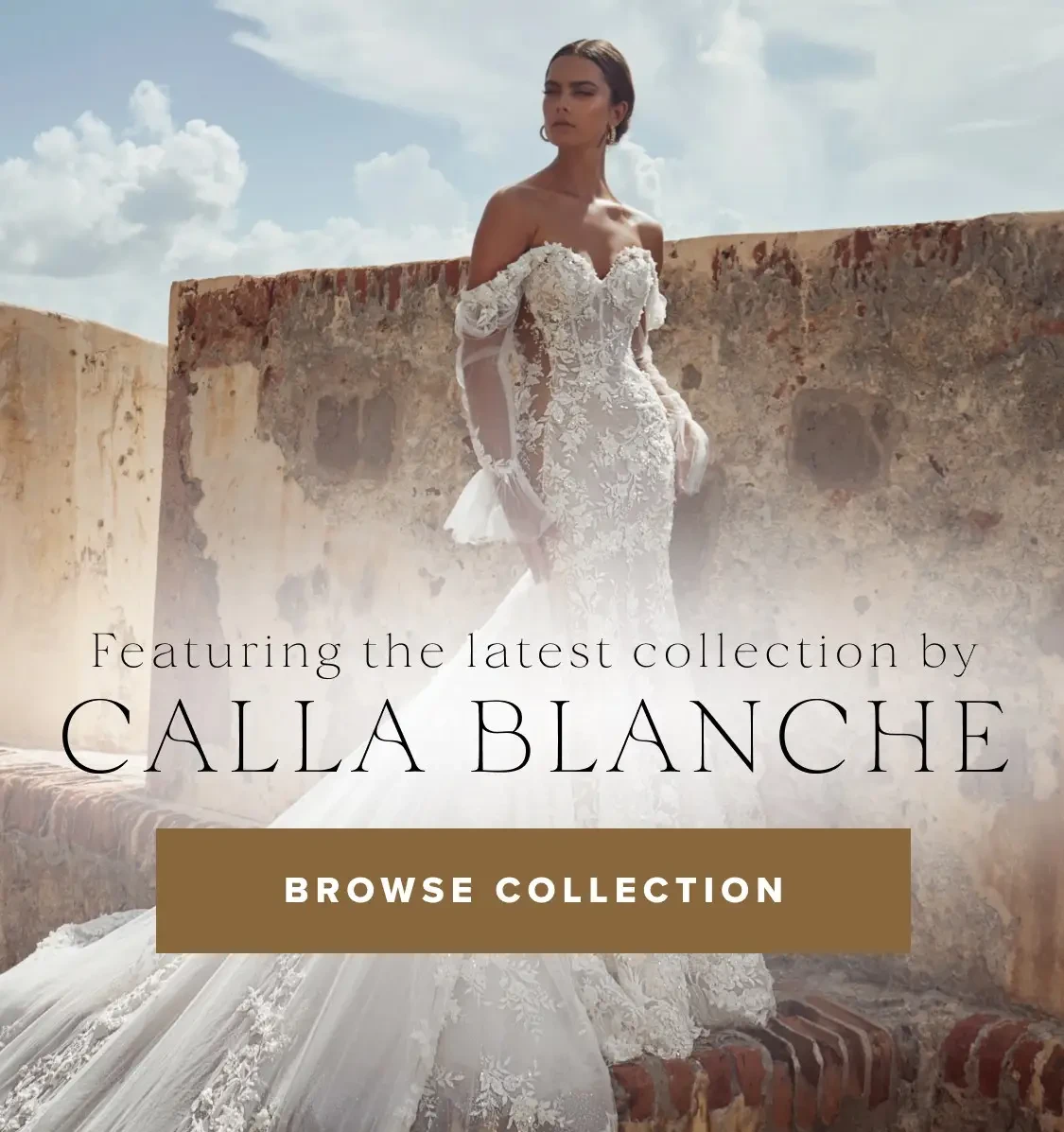 Calla Blanche Banner for Mobile