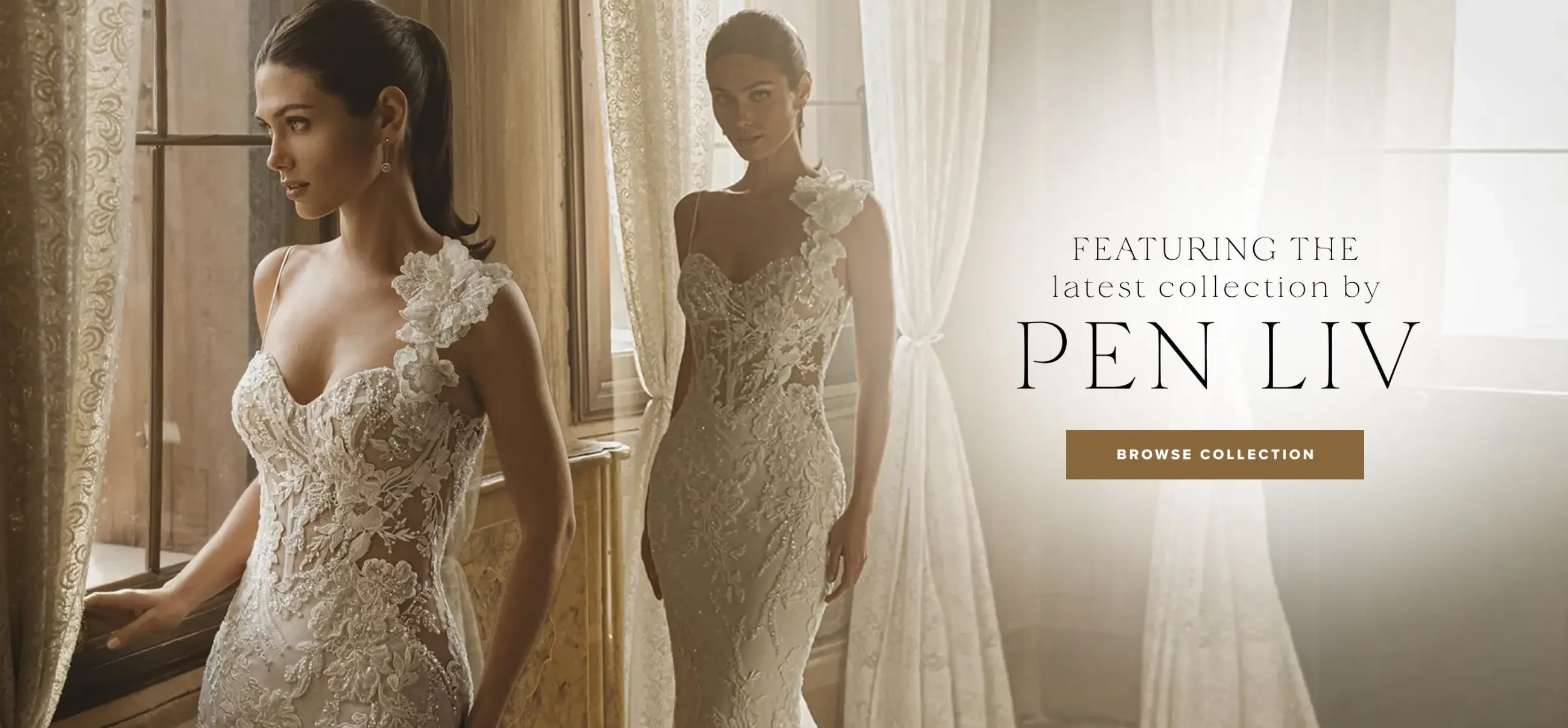 Pen Liv Banner for Desktop