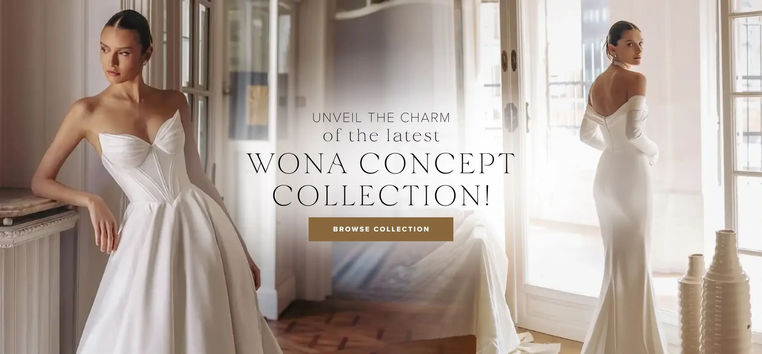 Wona Concept Banner for Desktop